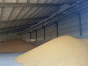 Stockage 3000T sous batiment développement